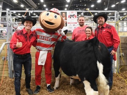 A team in the steer show pose with OSU's mascot and a steer.